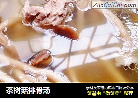 茶樹菇排骨湯封面圖