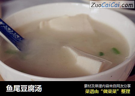 鱼尾豆腐汤