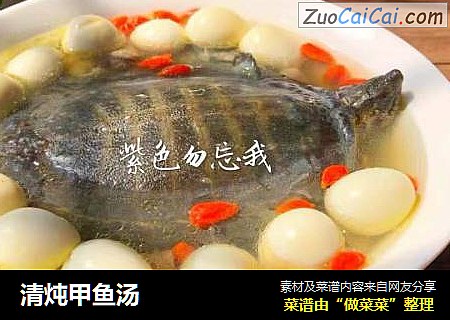 清炖甲魚湯封面圖