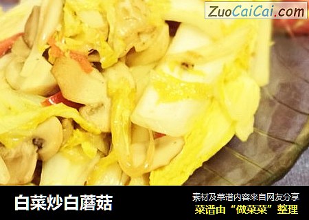 白菜炒白蘑菇封面圖