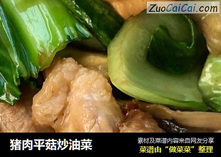 豬肉平菇炒油菜封面圖