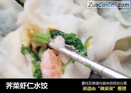 荠菜虾仁水饺