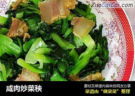 鹹肉炒菜秧封面圖