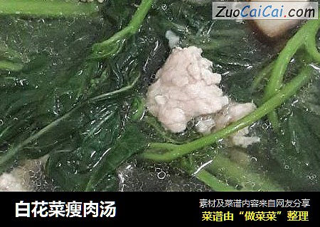 白花菜瘦肉湯封面圖