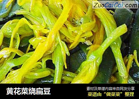 黃花菜燒扁豆封面圖