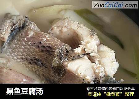 黑魚豆腐湯封面圖