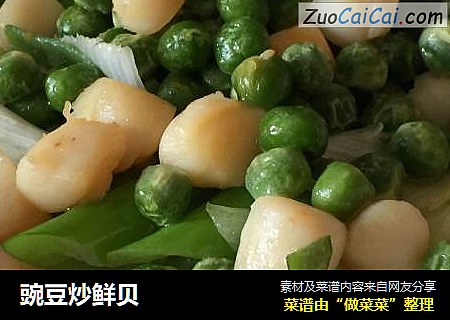 豌豆炒鮮貝封面圖