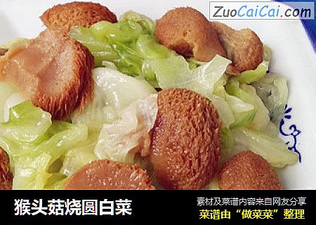 猴头菇烧圆白菜