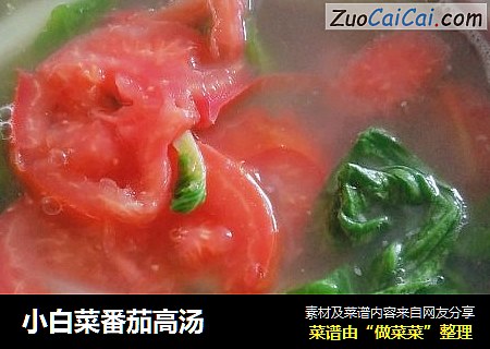 小白菜番茄高湯封面圖