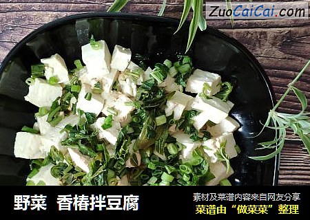 野菜  香椿拌豆腐