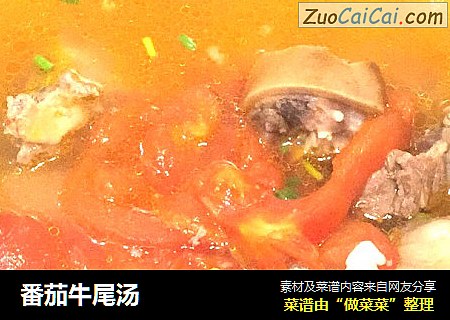 番茄牛尾湯封面圖