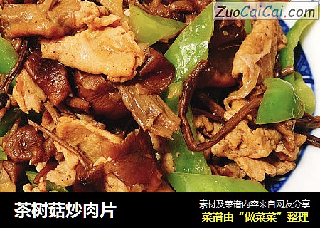 茶樹菇炒肉片封面圖