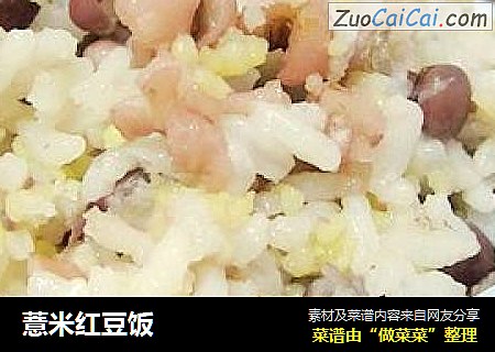 薏米紅豆飯封面圖