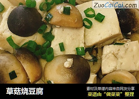 草菇燒豆腐封面圖