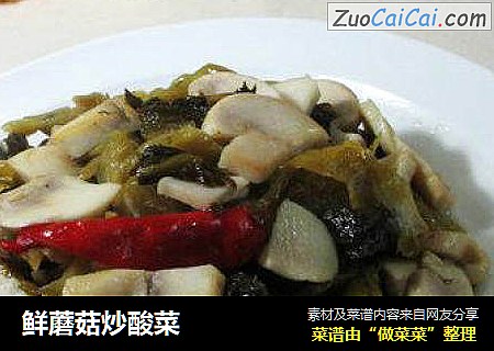 鮮蘑菇炒酸菜封面圖