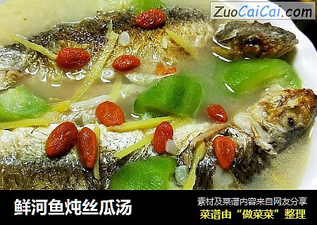 鲜河鱼炖丝瓜汤