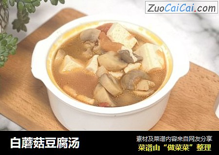 白蘑菇豆腐汤