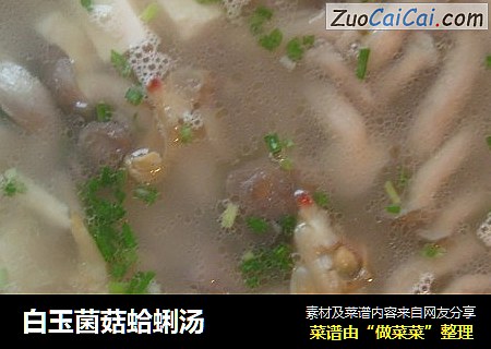 白玉菌菇蛤蜊湯封面圖