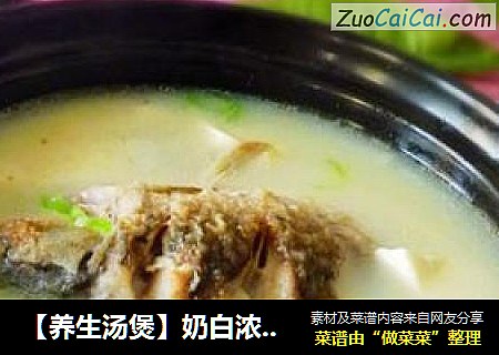 【養生湯煲】奶白濃湯---鲫魚豆腐湯封面圖