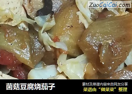 菌菇豆腐烧茄子