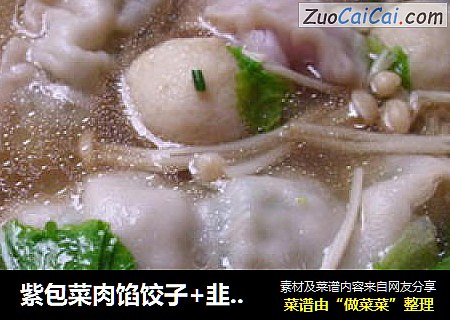 紫包菜肉餡餃子+韭菜花肉餡餃子封面圖