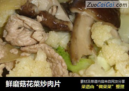 鮮磨菇花菜炒肉片封面圖