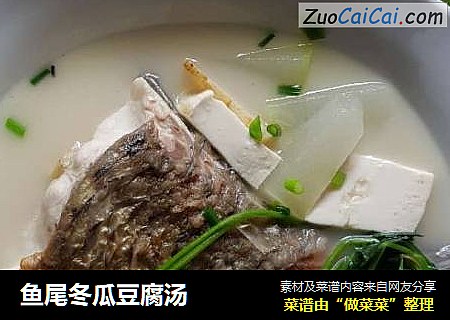 鱼尾冬瓜豆腐汤