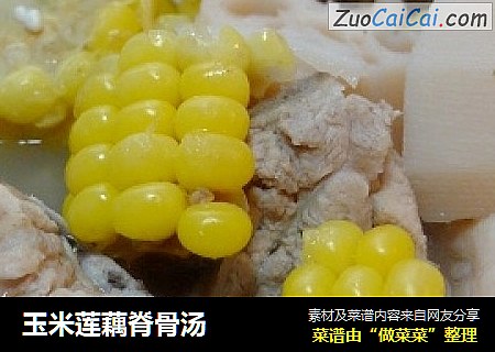 玉米莲藕脊骨汤