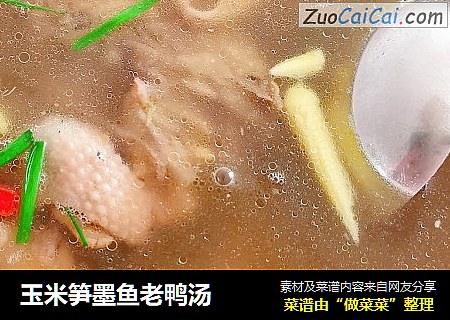 玉米筍墨魚老鴨湯封面圖