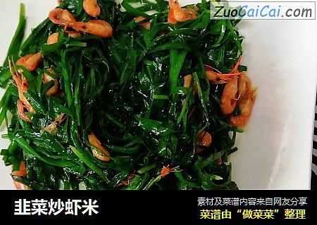 韭菜炒蝦米封面圖