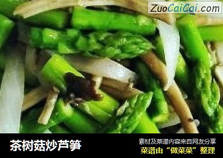 茶樹菇炒蘆筍封面圖