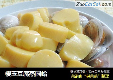 櫻玉豆腐蒸圓蛤封面圖
