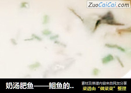 奶湯肥魚——鮰魚的做法封面圖
