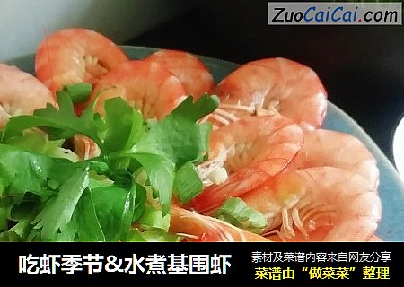 吃蝦季節&水煮基圍蝦封面圖