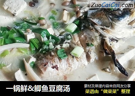一锅鲜&鲫鱼豆腐汤