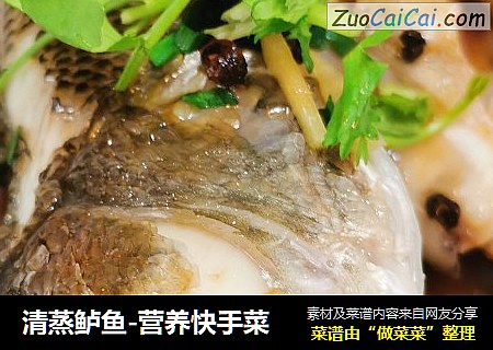 清蒸鲈鱼-营养快手菜