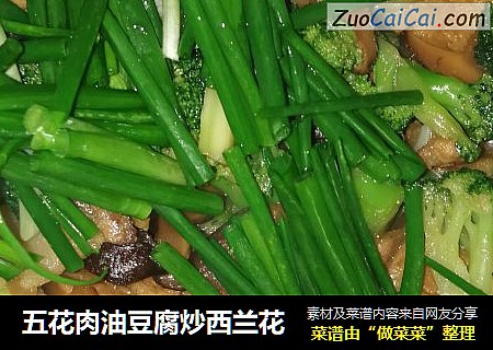 五花肉油豆腐炒西蘭花封面圖
