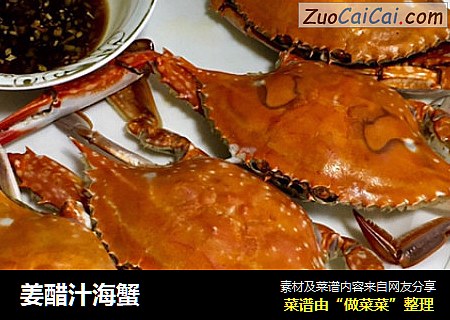 姜醋汁海蟹