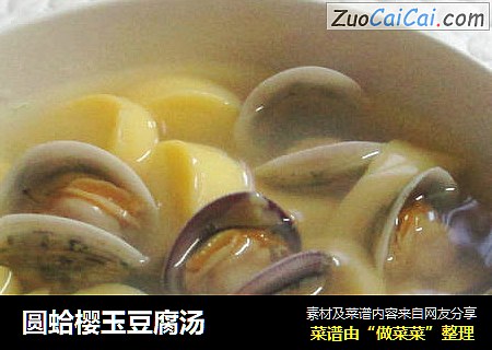 圓蛤櫻玉豆腐湯封面圖