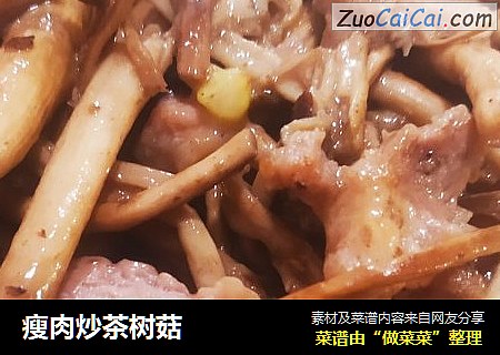 瘦肉炒茶樹菇封面圖