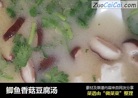 鲫鱼香菇豆腐汤