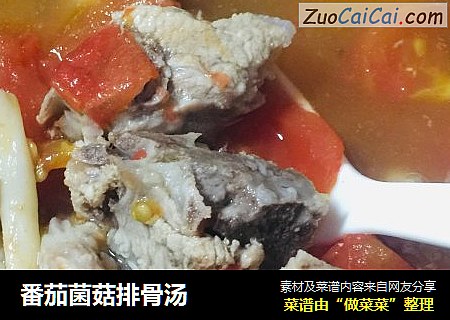 番茄菌菇排骨湯封面圖