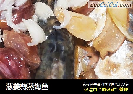 蔥姜蒜蒸海魚封面圖