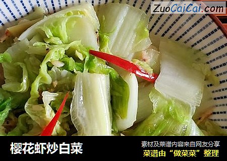 櫻花蝦炒白菜封面圖