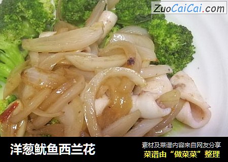 洋蔥鱿魚西蘭花封面圖