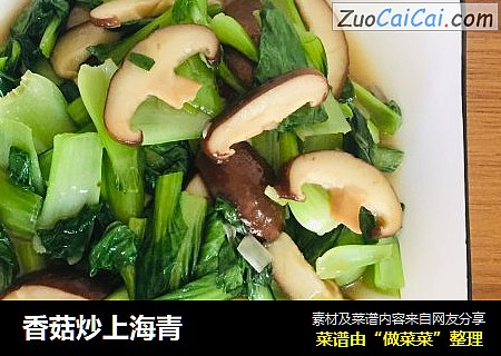 香菇炒上海青封面圖