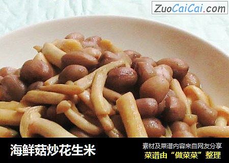 海鮮菇炒花生米封面圖
