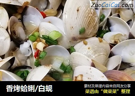 香烤蛤蜊/白蚬封面圖