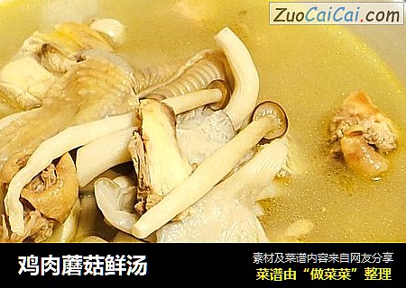 鸡肉蘑菇鲜汤