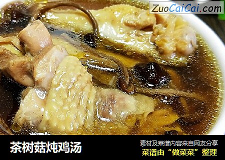 茶樹菇炖雞湯封面圖